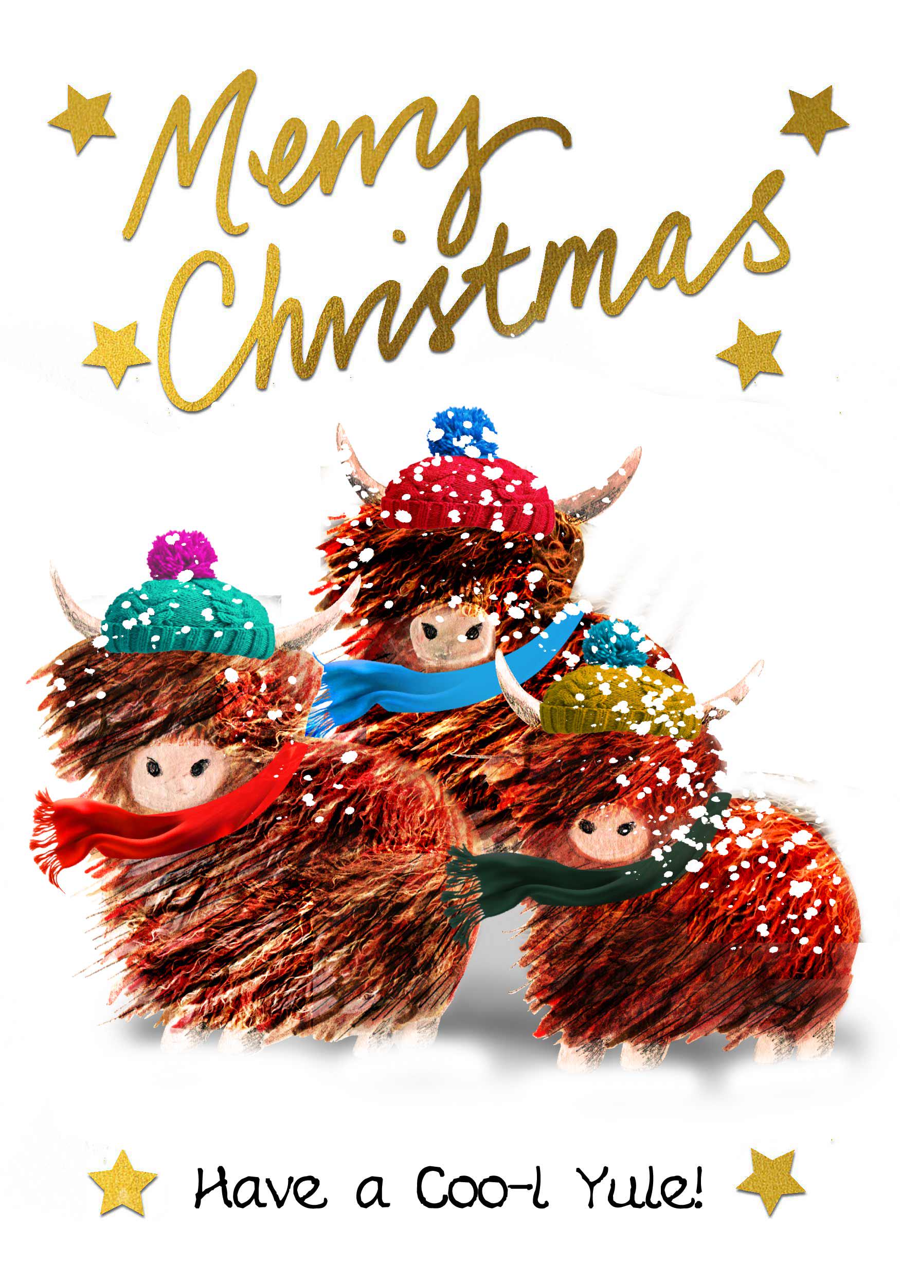 Emu-*様☆メリークリスマス☆ 🎅 クリスマスの予定は