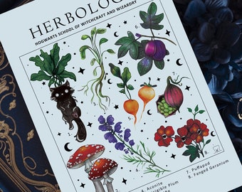 Illustration & Totebag | Herbology école de sorcellerie