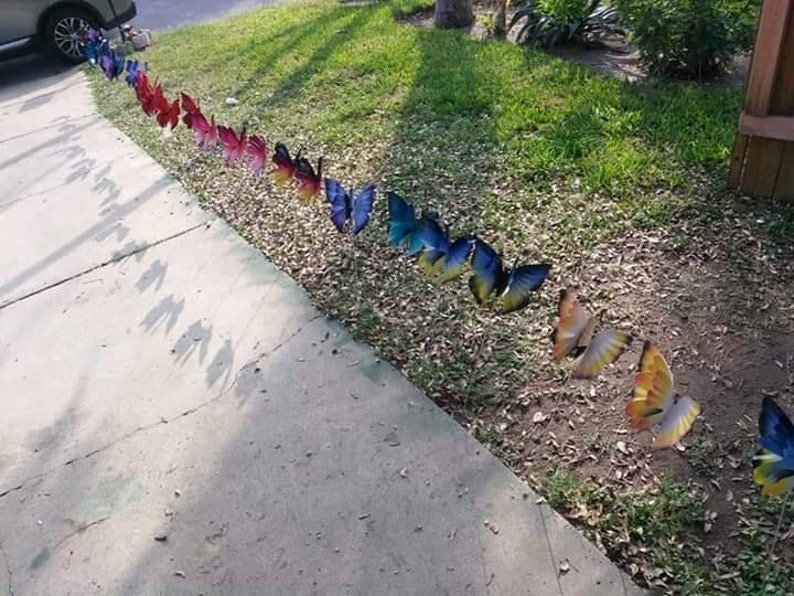 May include: A line of colorful butterfly garden decorations in various shades of blue, red, yellow, and purple. The butterflies are arranged in a row on a grassy lawn.