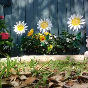 Metal Daisy Garden Stake Set: White Flower Garden Art