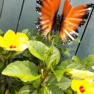 May include: A metal butterfly garden decoration with orange and black wings, with white spots, is perched on a yellow hibiscus flower with green leaves.