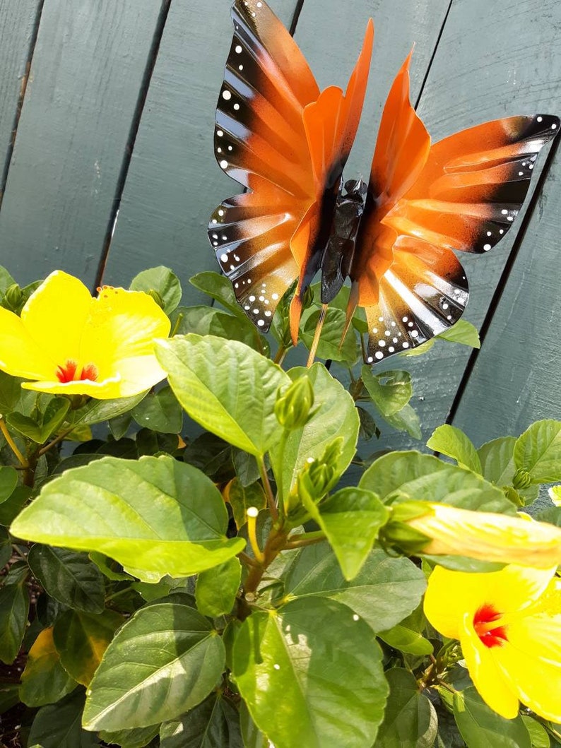 May include: A metal butterfly garden decoration with orange and black wings, with white spots, is perched on a yellow hibiscus flower with green leaves.