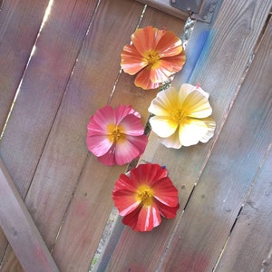 California Poppy Metal Flower: Fence & Wall Decor (8-9 inch)