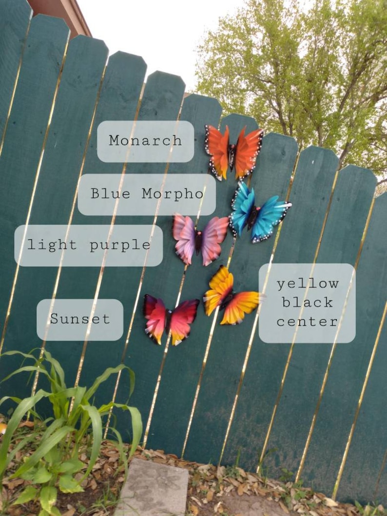 May include: Five metal butterfly wall decorations in various colours and designs. The butterflies are attached to a green wooden fence. The butterflies are labelled with their names: Monarch, Blue Morpho, light purple, Sunset, and yellow black centre.