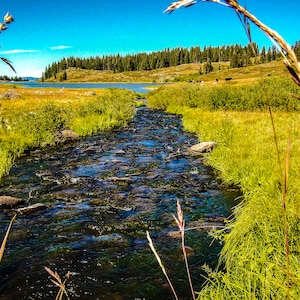 River View