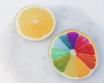 Rainbow pin; Lime pin; Citrus pin; orange pin; colorful citrus; fruit pins; colorful; pride pin;