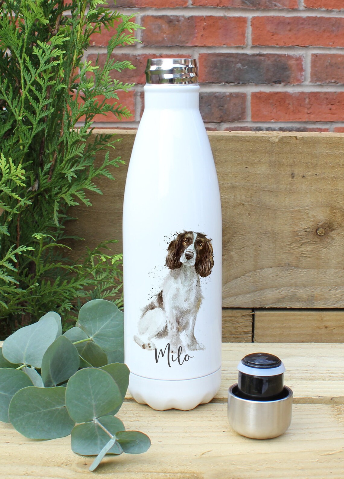 Springer Spaniel Personlised Insulated Water Bottle For Hot & Etsy