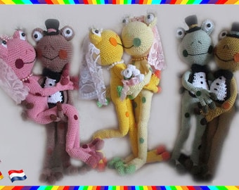 Frog rainbow bridal couples, love is never wrong