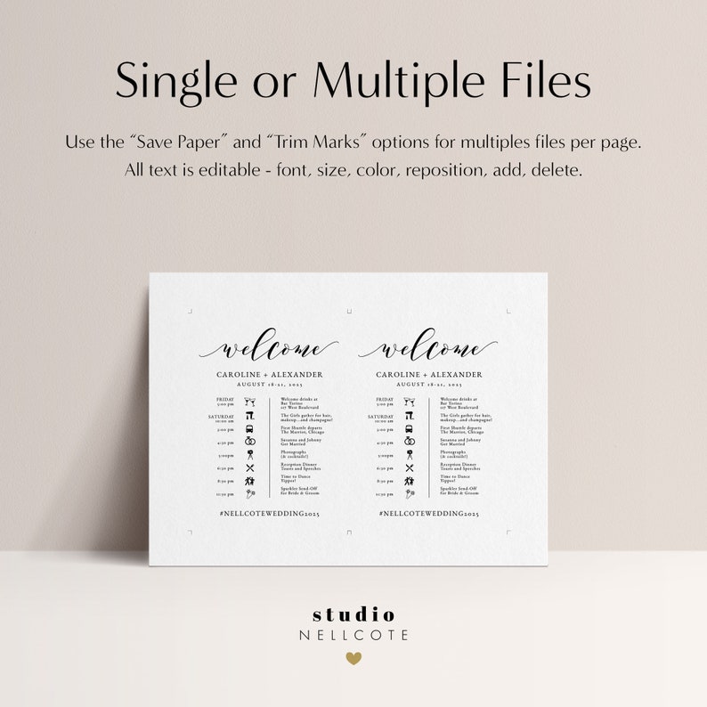 Classic Wedding Events Timeline with Icons, Printable Schedule of the Wedding Weekend Template, Editable Guest Information Card, SN029_TL image 4
