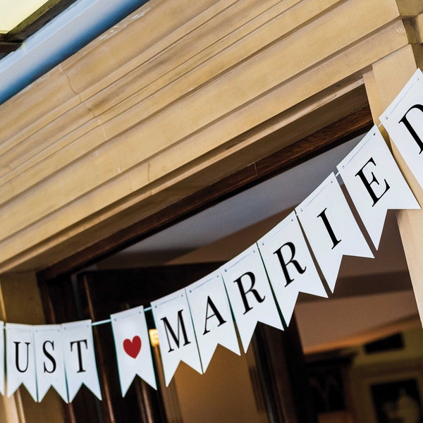 Just Married Bunting, Wedding Banner, DIY Bunting Template, Printable Wedding Banner, Mr and Mrs Sign, Just Married Banner Download-SN017_BS