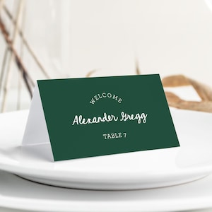 Enchanted Forest Place Card , Forest Green Seating Name Cards, Moody Forest Table Decor, Wedding Guest Name Cards, SN1200G_PC