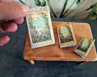 Mini-livre ancien "Botanique" 3 formats