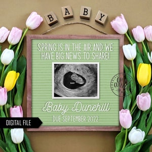 La primavera está en el aire Anuncio digital de embarazo / Tulipanes / Anuncio de bebé en tablero de letras / Aquí crecemos / Personalizado / FB Insta