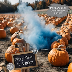 以下が含まれることがあります： かぼちゃ畑に、「Baby Porter is a Boy!」と書かれた黒板の看板が置かれている。看板の後ろの地面から青い煙が上がっている。