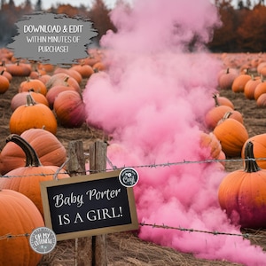 Pink Smoke Cloud with Pumpkins Digital Gender Reveal Announcement | It's a Girl | Instant Download & Edit Yourself Today | Social Media Post