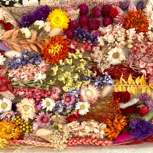 Dried Flower Craft Box: Mixed Flower Heads, Short Stems, Gift Toppers, Cake Decor