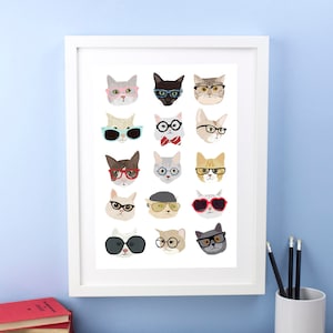 Gatos Con Gafas