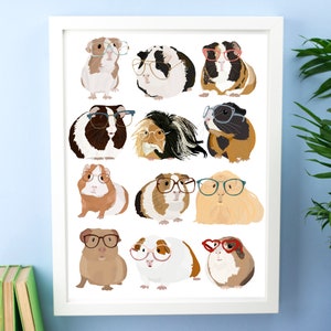 Guinea Pigs With Glasses