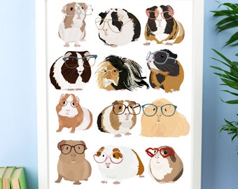 Guinea Pigs With Glasses
