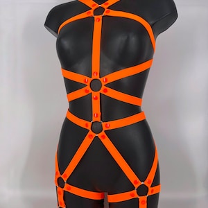 Può includere: Body harness arancione con più cinturini e anelli argentati. Il harness ha accenti in plastica rossa.