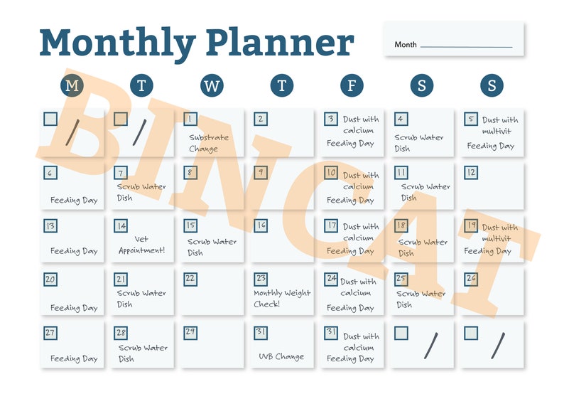 Leopard Gecko Reptile Planner, Digital Download for Organisation