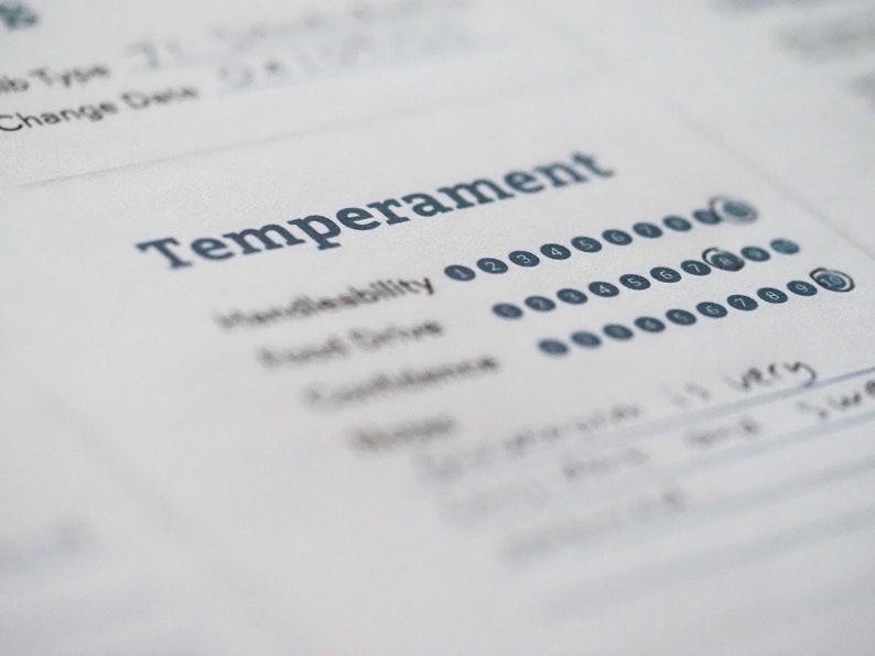 Puede incluir: Un primer plano de un formulario de evaluaci&oacute;n de la personalidad con la palabra "Temperamento" en la parte superior. El formulario incluye una escala del 1 al 10 para diferentes rasgos de personalidad, como "Maneabilidad" y "Impulso de meta".