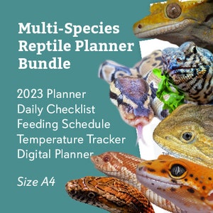 Puede incluir: Un paquete de planificadores de reptiles multi-especies con una portada colorida que presenta varios reptiles, incluyendo una serpiente, un lagarto y un gecko. El texto en la portada dice "Multi-Species Reptile Planner Bundle", "2023 Planner", "Daily Checklist", "Feeding Schedule", "Temperature Tracker", "Digital Planner", y "Size A4".