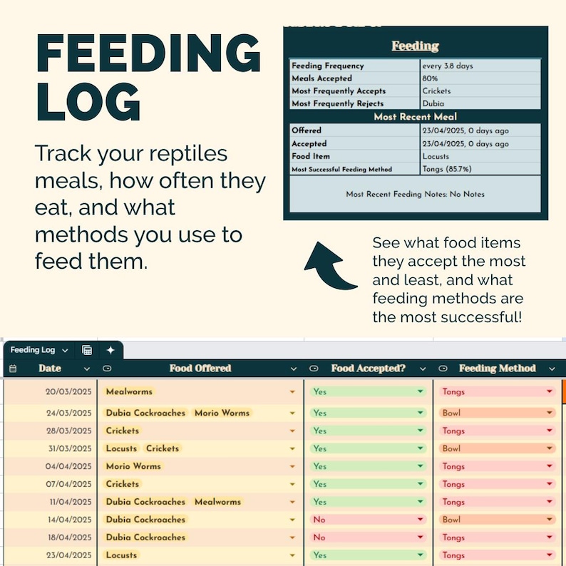 Reptile Care + Health Spreadsheet | 10-in-1 Tracker for Gecko & Exotic ...