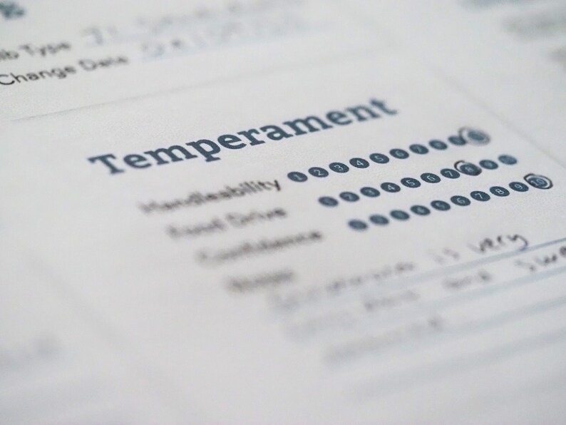 Leopard Gecko Reptile Planner, Digital Download for Organisation