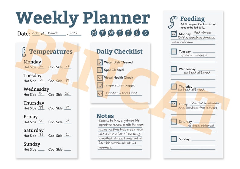 leopard-gecko-reptile-planner-digital-download-for-organisation