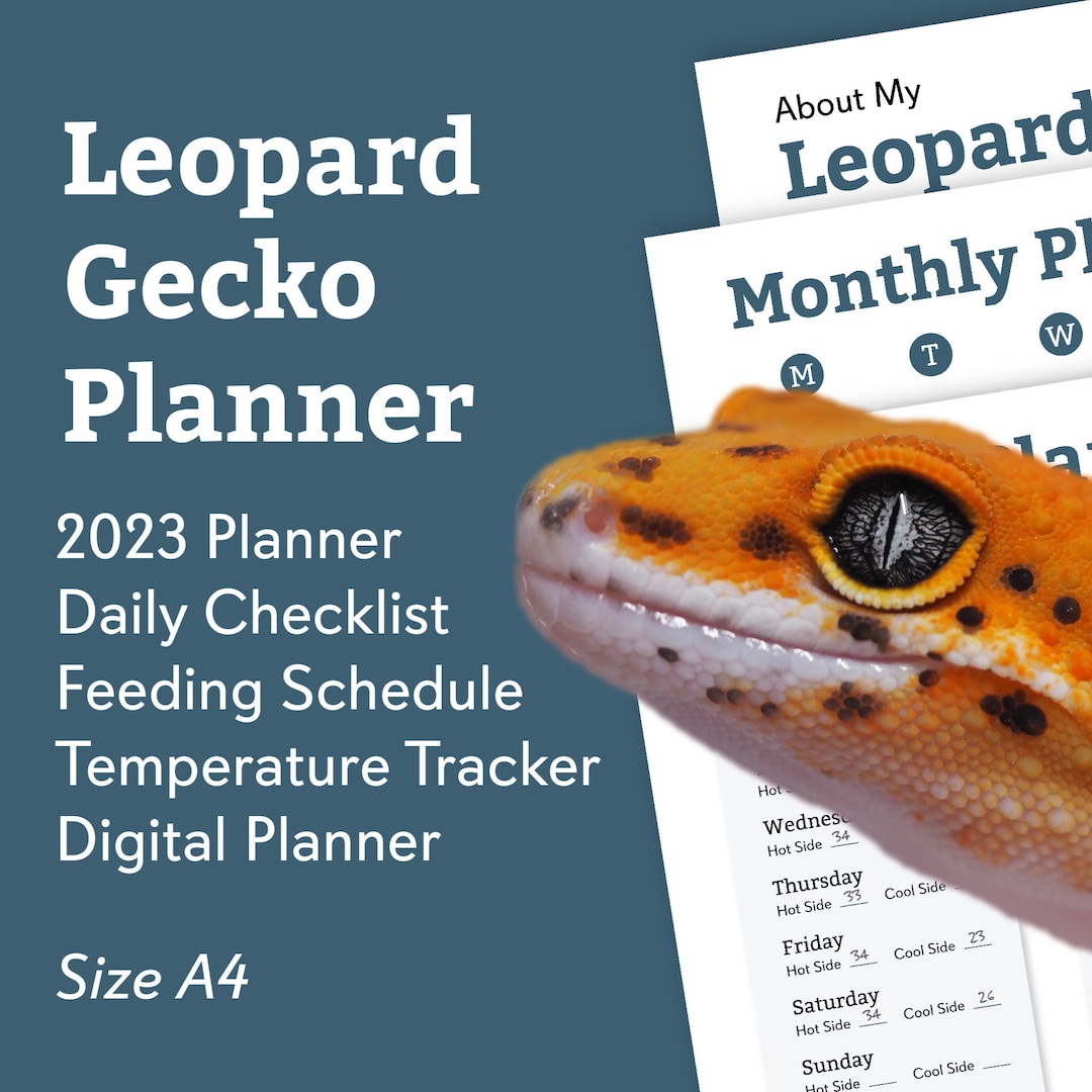 leopard-gecko-reptile-planner-digital-download-for-organisation