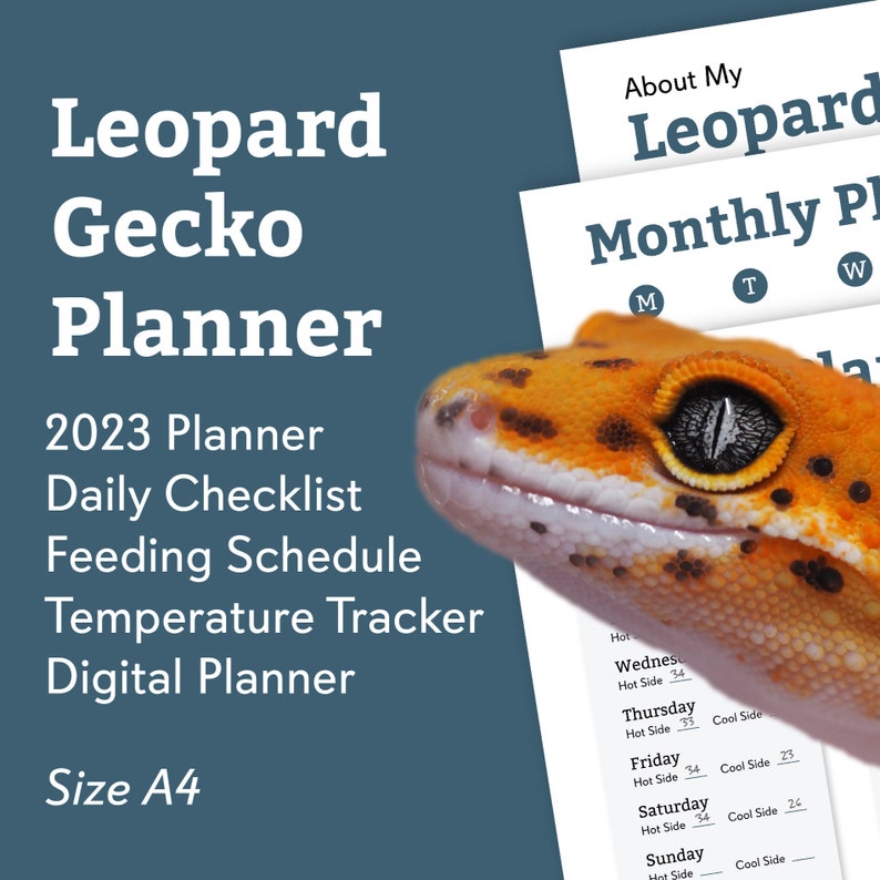 leopard-gecko-reptile-planner-digital-download-for-organisation