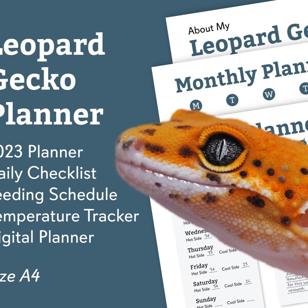 Gecko - Etsy
