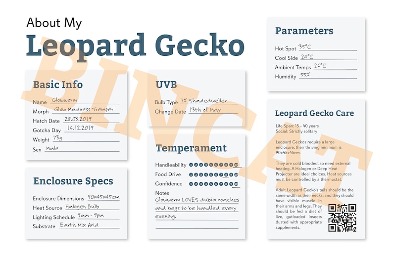 Leopard Gecko Reptile Planner, Digital Download for Organisation