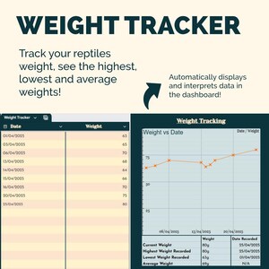 Reptile Care + Health Spreadsheet | 10-in-1 Tracker for Gecko & Exotic ...