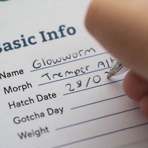 Puede incluir: Un primer plano de un formulario con el encabezado "Basic Info". El formulario tiene campos para "Name", "Morph", "Hatch Date", "Gotcha Day" y "Weight". El campo del nombre est&aacute; rellenado con "Glowworm" y el campo del morph est&aacute; rellenado con "Tremper Alb". El campo de la fecha de eclosi&oacute;n est&aacute; rellenado con "28/0".