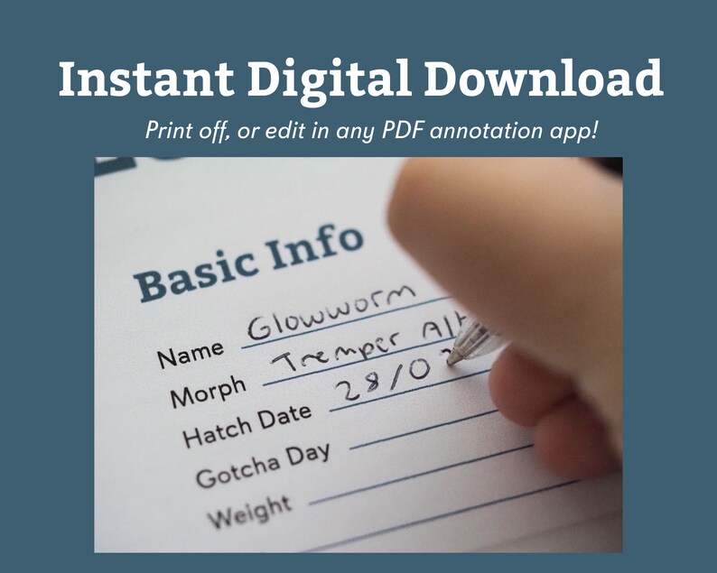 Leopard Gecko Reptile Planner, Digital Download for Organisation