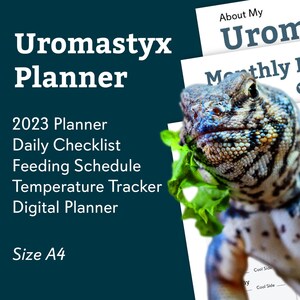 Peut inclure: Un planificateur imprimable pour les propriétaires d'Uromastyx. Le planificateur comprend des sections pour les listes de contrôle quotidiennes, les horaires d'alimentation, le suivi de la température et un planificateur numérique. Le planificateur est conçu pour le format de papier A4.