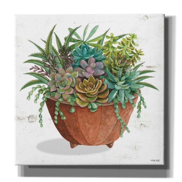 Terracotta Succulents I by Cindy Jacobs, Canvas Wall Art
