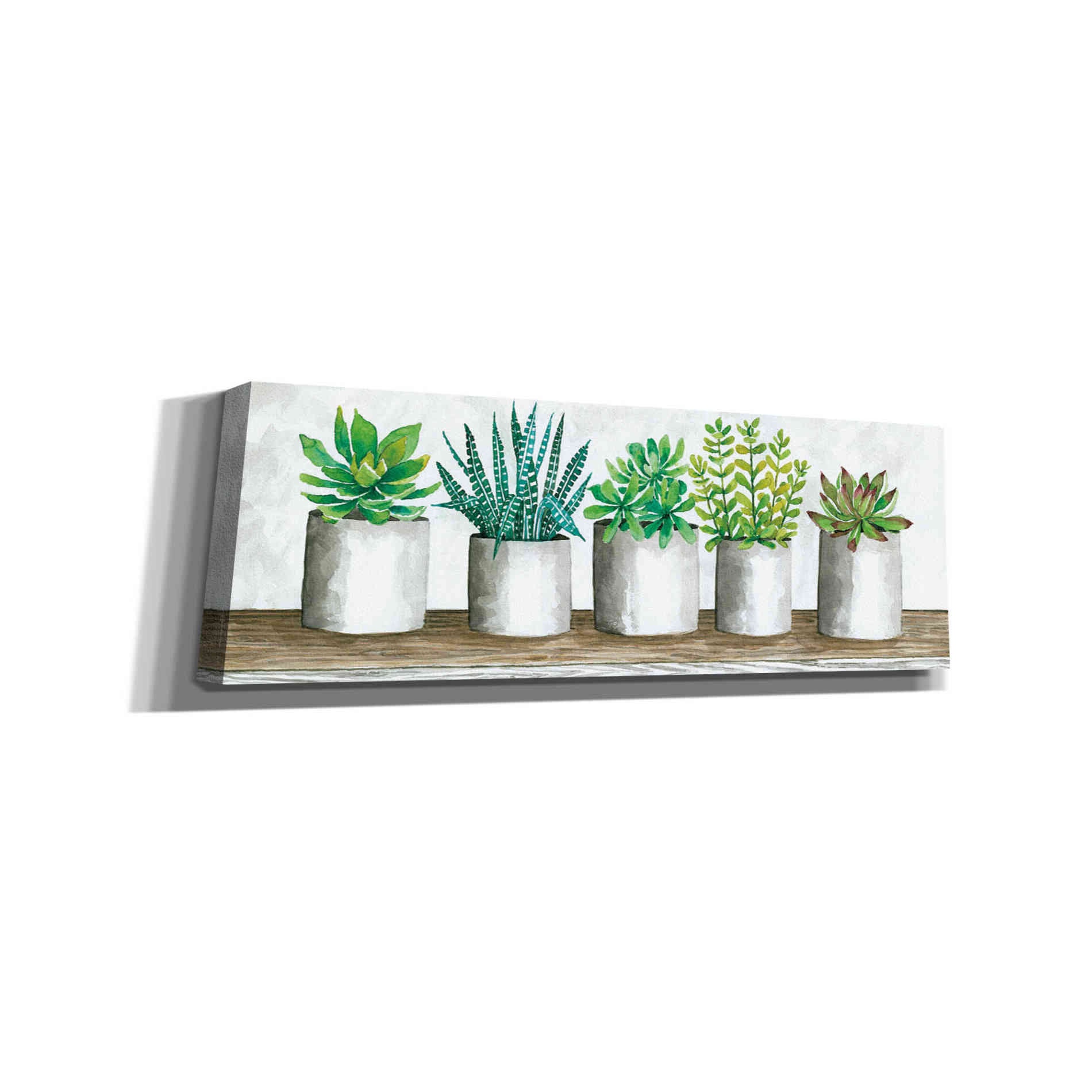 Succulent Pots by Cindy Jacobs, Canvas Wall Art - Etsy