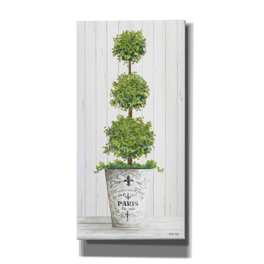 Topiary Paris by Cindy Jacobs, Canvas Wall Art - Etsy