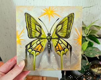 Original Oil Painting - "Butterfly Study No. 1"