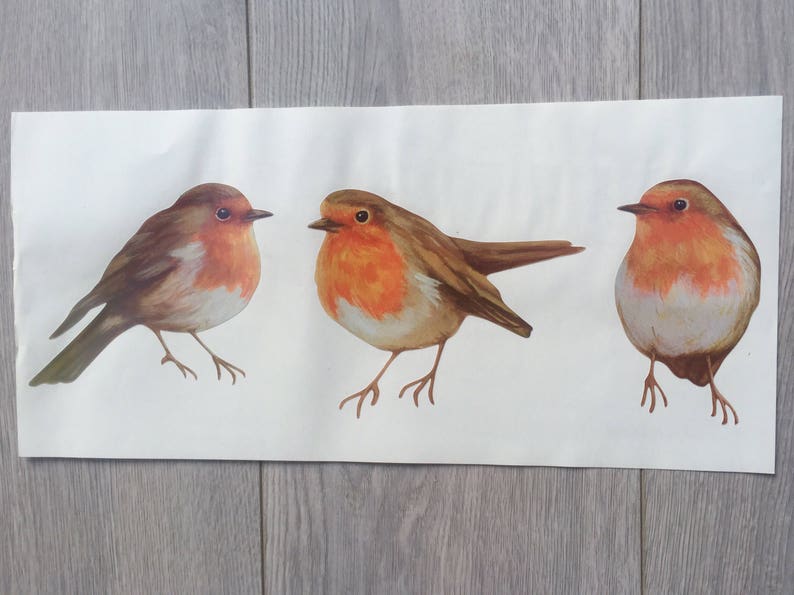robin wall sticker robin wall decal robin wall decals robin | etsy