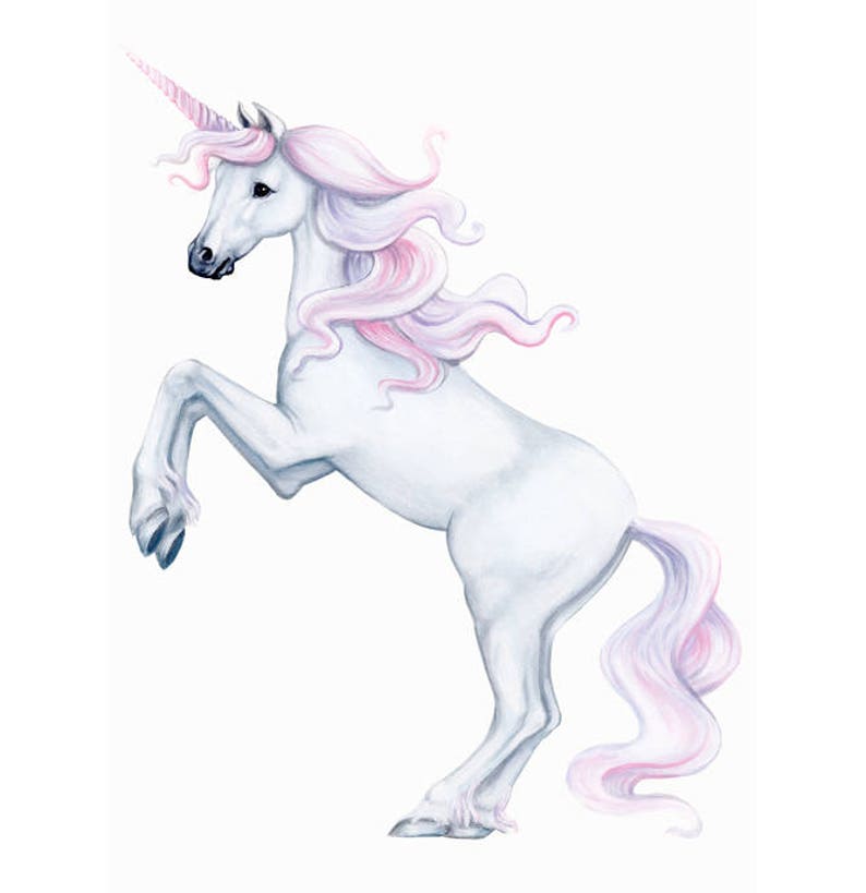 unicorn decal unicorn wall decal unicorn wall stickers | etsy