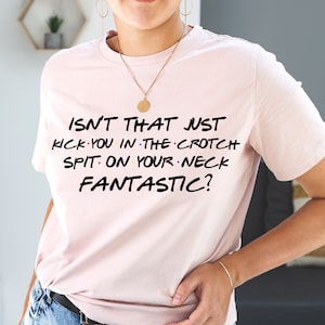 Isn&#39;t that just kick you in the crotch spit on your neck FANTASTIC? Funny Rachel Green quote shirt for Friends fan!