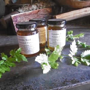 Woodland Spice Syrups, - Rowan (Almond) or Wood Avens (Clove) with  Birch Sap or Spring Water