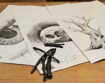 Künstlerkohle Erlen-Sanddorn-Stäbchen zum Zeichnen, Skizzieren, Schattieren