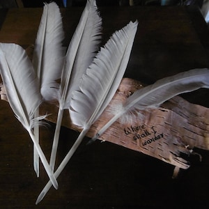 handmade natural goose quill pens - a "Luddite" writing tool