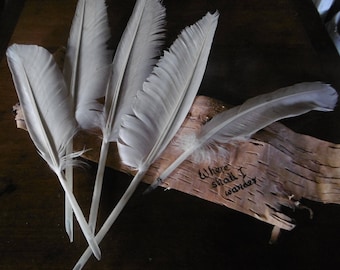 handgemaakte natuurlijke ganzenveerpennen - een "Luddite" schrijfinstrument