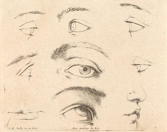 Lámina de ojos antiguos, lámina de maestros italianos, lámina de dibujo, historia del arte, dibujo mural, arte mural de ojos, artista, póster de ojos